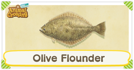 ACNH Olive Flounder Times and Price