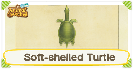 ACNH Soft-Shelled Turtle Times and Price