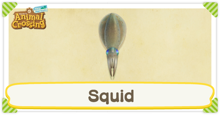 ACNH Squid Times and Price