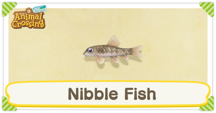 ACNH Nibble Fish Times and Price
