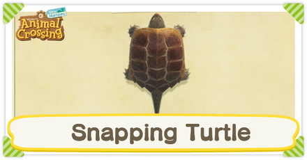 ACNH Snapping Turtle Times and Price