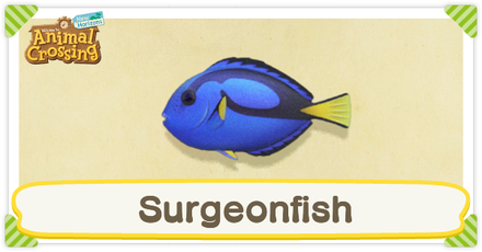 ACNH Surgeonfish Times and Price