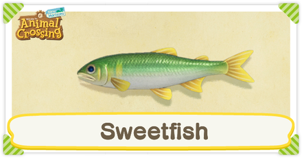ACNH Sweetfish Times and Price