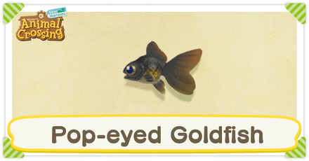 ACNH Pop-Eyed Goldfish Times and Price