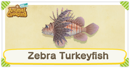 ACNH Zebra Turkeyfish Times and Price