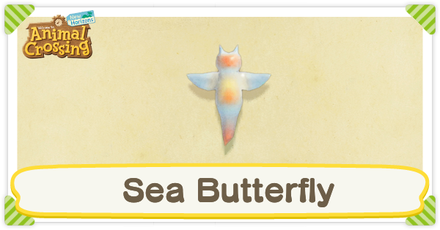 ACNH Sea Butterfly Times and Price