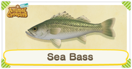 ACNH Sea Bass Times and Price