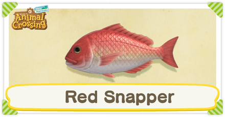 ACNH Red Snapper Times and Price
