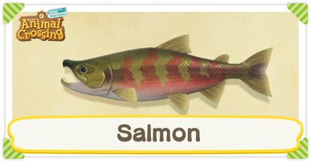 ACNH Salmon Times and Price