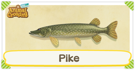 ACNH Pike Times and Price