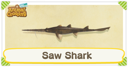 ACNH Saw Shark Times and Price