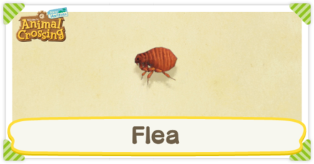 Flea Times
