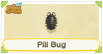 Pill Bug Times