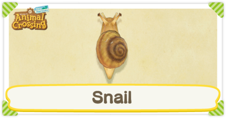 Snail Times and How to Catch | Animal Crossing: New Horizons (Switch)|Game8 Snail Times and How to Catch | Animal Crossing: New Horizons (Switch)|Game8