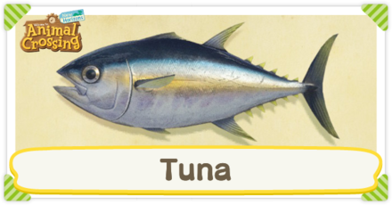 ACNH Tuna Times and Price