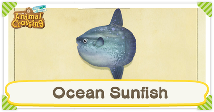 ACNH Ocean Sunfish Times and Price