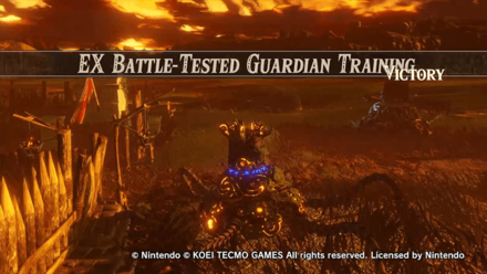 EX Battle-Tested Guardian Training Banner