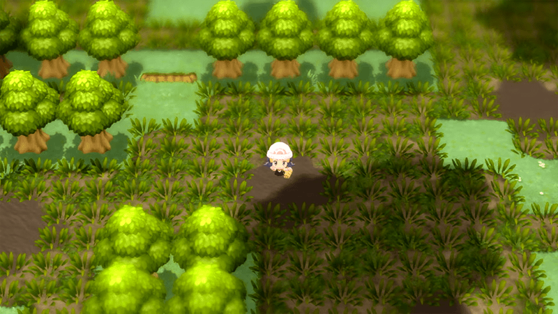 Pokemon BDSP Obstacles