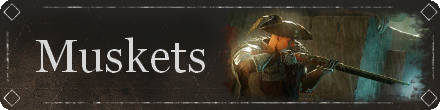 New World - Muskets