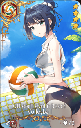 Official Levulin Beach Volleyball