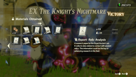 Hyrule Warriors Age of Calamity - EX The Knight