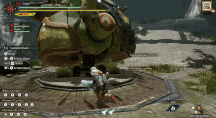 MH Rise - SnS Metsu Shoryugeki