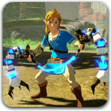 Link Flail (DLC Top Partial)
