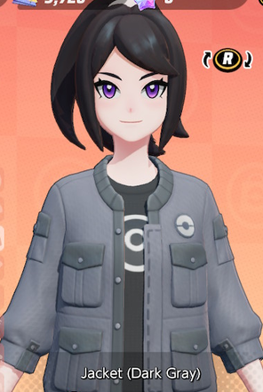 Jacket (Dark Gray) Preview