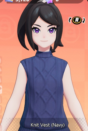 Knit Vest (Navy) Preview