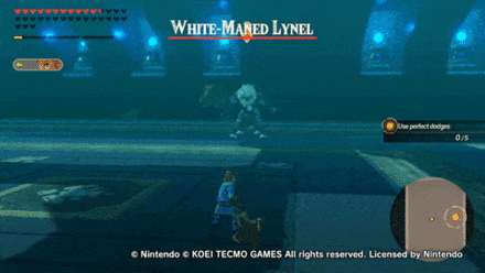 Perfect Dodge - Lynel - Dodge Sideways After the Cryonis Prompt.gif