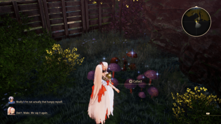 Tales of Arise - Pick Up Ingredients