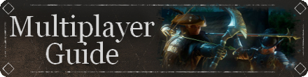 Multiplayer Guide