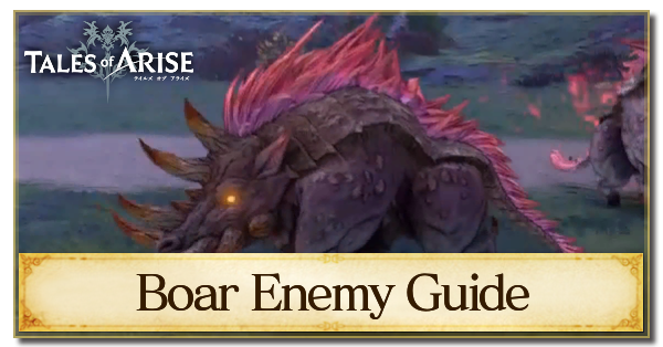 Boar Enemy Guide