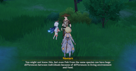 Genshin - Exploding Population - Ornamental Fish