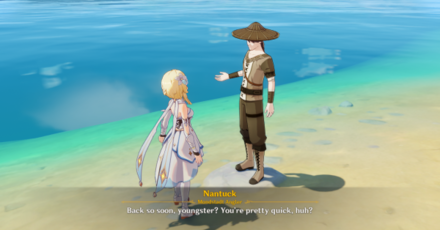 Genshin - Exploding Population - Nantuck