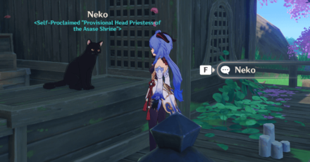 Genshin - Neko is a Cat Wooden Rack - Report back to Neko