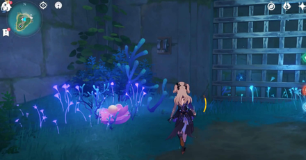 Genshin - Palace in a Pool - Open door and get Electrogranum