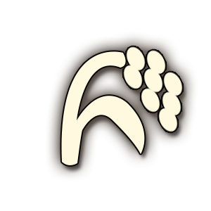 Tales of Arise Rice.jpg