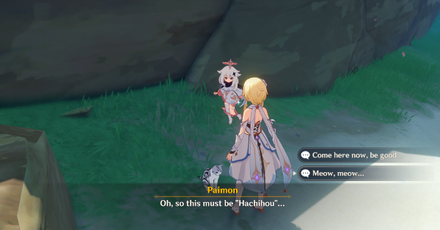 Genshin - Neko is a Cat The Children - Hachihou