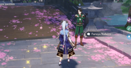 Genshin - Reminiscence of Seirai - Ask the adventurers some questions