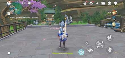 Genshin Impact - The Fabric on Constancy - Take a Picture of Ei