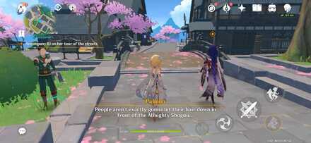 Genshin Impact - To Travese the Mortal Plane - Take a Walk with Ei