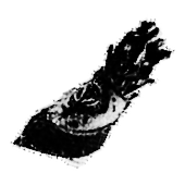 Ice Gauntlet Icon