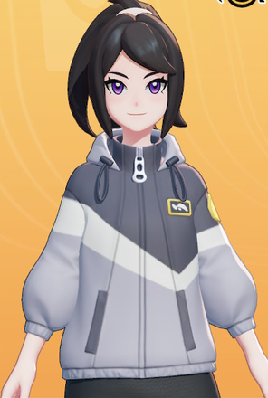 Windbreaker (Gray) Preview