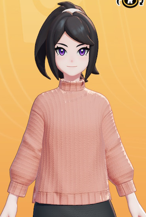 Turtleneck Sweater (Pink) Preview
