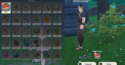 Genshin - Neko is a Cat Shrine Canteen - Raw Meat