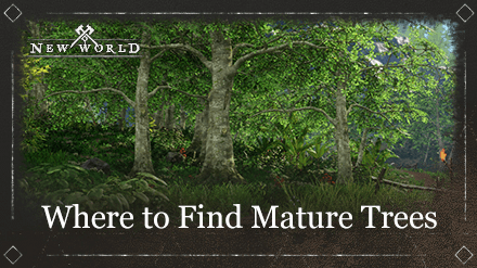 New World - Where to Find Mature Trees