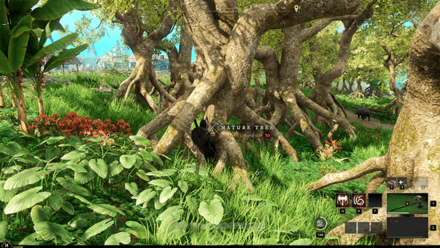 New World - Mature Tree with Exposed Roots