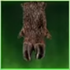 Large Boar Hoof Icon