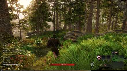 New World - Young Trees